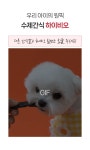 포포아코코펫푸드25시 | 강아지 사료·간식 > 오미자를 품은 칠면조 힘줄스틱 포포코코 50g*3개입 | 오늘의집 쇼핑 오미자를 품은 칠면조 힘줄스틱 포포코코 50g*3개입