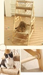 고양이 리빙 > 울 냥이 놀이터 사다리해먹 캣타워 | 오늘의집 쇼핑 울 냥이 놀이터 사다리해먹 캣타워