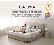 라텍스·폼베개 > 클린/항균커버 스탠다드 메모리폼 베개 | 오늘의집 쇼핑 클린/항균커버 스탠다드 메모리폼 베개