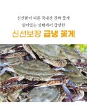 수산·건해산 > 연평도 급냉 꽃게 암꽃게 숫꽃게 신선도 수율 보장 | 오늘의집 쇼핑 연평도 급냉 꽃게 암꽃게 숫꽃게 신선도 수율 보장
