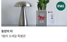 데코·식물 | 오늘의집 쇼핑