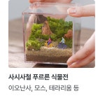 데코·식물 | 오늘의집 쇼핑