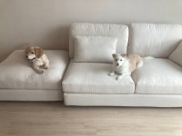문화탕님의 취향 스크랩북 | 라이프스타일 슈퍼앱, 오늘의집