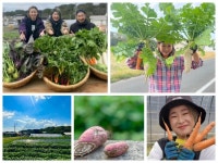 佐賀有田発！自給自足エンタメ家族が全国から村人を募集！ | ORICON NEWS 佐賀有田発！自給自足エンタメ家族が全国から村人を募集！