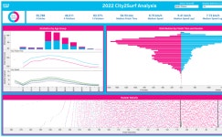 2022 City2surf Analysis | Tableau Public 2022 City2surf Analysis