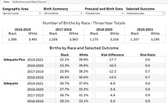 Berrien County Prenatal and Birth Outcomes | Tableau Public Berrien County Prenatal and Birth Outcomes