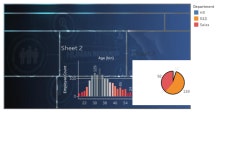 Profile - chethan.g8653 | Tableau Public Chethan G - Profile | Tableau Public