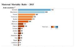 Maternal Mortality Ratio-2015 | Tableau Public Maternal Mortality Ratio-2015