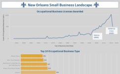 New Orleans Small Business Landscape | Tableau Public New Orleans Small Business Landscape