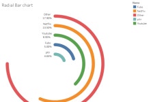 Radial Bar chart | Tableau Public Radial Bar chart