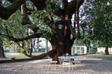Bed and Breakfast Il Pozzo di Lao, Dervio, Italy - Booking.com Il Pozzo di Lao, Dervio, Italy