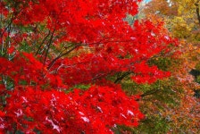 Guesthouse Kimiko, Kasagicho – 2020 신규 특가 ★★ Guesthouse Kimiko, Kasagicho, 일본