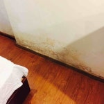 여행객들이 참 호텔에서 머물며 직접 찍은 4장의 사진들 - Booking.com Booking.com: 호텔, 게스트하우스, 펜션까지 이보다 더 다양할 순... 