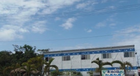 여관 수도마리 노 야도 가메카메 (일본 나키진) - Booking.com ★ 수도마리 노 야도 가메카메, 나키진, 일본