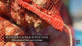 영국이 골뱅이를 잘 안먹고 거의 수출해버리는 이유 > 유머방 | 뀨잉넷... 모든 웹코믹이 모이는 곳 영국이-골뱅이를-안먹고-거의-수출해버리는-이유