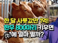 소 키우는게 힘든 이유 > 유머방 | 뀨잉넷 - 온세상 모든 웹코믹이 모이는 곳 키우는게-힘든-이유