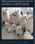 유치원 학부모 참관수업 > 유머방 | 뀨잉넷 - 온세상 모든 웹코믹이 모이는 곳 유치원-학부모-참관수업