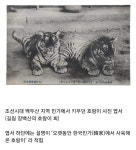 조선시대 켓맘을 못 건드린 이유 > 유머방 | 뀨잉넷 - 온세상 모든 웹코믹이 모이는 곳 조선시대-켓맘을-못-건드린-이유