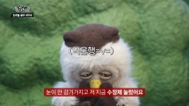 피로회복에 좋은 스트레칭 > 유머방 | 뀨잉넷 - 온세상 모든 웹코믹이 모이는 곳 피로회복에-좋은-스트레칭