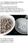 꼬막세척 레전드.jpg > 유머방 | 뀨잉넷 - 온세상 모든 웹코믹이 모이는 곳 꼬막세척-레전드jpg