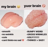 행복한 뇌와 슬픈 뇌.png > 유머방 | 뀨잉넷 - 온세상 모든 웹코믹이 모이는 곳 행복한-뇌와-슬픈-뇌png