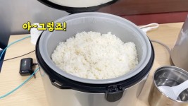 마포구 혜자 식당.jpg > 유머방 | 뀨잉넷 - 온세상 모든 웹코믹이 모이는 곳 마포구-혜자-식당jpg