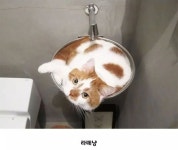 호불호 갈리는 커피... > 유머방 | 뀨잉넷 - 온세상 모든 웹코믹이 모이는 곳 호불호-갈리는-커피