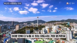 외국인 사이에서 부산관광이 라이징스타라네 > 유머방 | 뀨잉넷 - 온세상 모든 웹코믹이 모이는 곳 외국인-사이에서-부산관광이-라이징스타라네