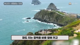 외국인 사이에서 부산관광이 라이징스타라네 > 유머방 | 뀨잉넷 - 온세상 모든 웹코믹이 모이는 곳 외국인-사이에서-부산관광이-라이징스타라네
