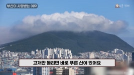 외국인 사이에서 부산관광이 라이징스타라네 > 유머방 | 뀨잉넷 - 온세상 모든 웹코믹이 모이는 곳 외국인-사이에서-부산관광이-라이징스타라네