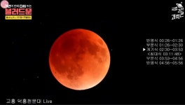 블러드문 이쁘게 잘떳네... > 유머방 | 뀨잉넷 - 온세상 모든 웹코믹이 모이는 곳 블러드문-이쁘게-잘떳네