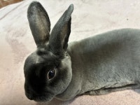 의외로 동일 동물 > 유머방 | 뀨잉넷 - 온세상 모든 웹코믹이 모이는 곳 의외로-동일-동물