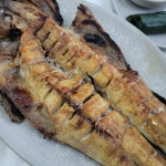 고등어 만큼 존맛인 생선 > 유머방 | 뀨잉넷 - 온세상 모든 웹코믹이 모이는 곳 고등어-만큼-존맛인-생선