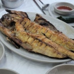 고등어 만큼 존맛인 생선 > 유머방 | 뀨잉넷 - 온세상 모든 웹코믹이 모이는 곳 고등어-만큼-존맛인-생선