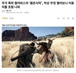 붉은사막) 스팀 평가 나쁜 이유 나왔다 > 유머방 | 뀨잉넷 - 온세상 모든 웹코믹이 모이는 곳 붉은사막-스팀-평가-나쁜-이유-나왔다