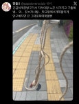 초등학교 때 과학 실험 하는 이유 > 유머방 | 뀨잉넷 - 온세상 모든 웹코믹이 모이는 곳 초등학교-과학-실험-하는-이유