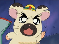 방가방가 햄토리의 괴상한 작화감독 타케우치 아키라 > 만화방 | 뀨잉넷 - 온세상 모든 웹코믹이 모이는 곳 방가방가-햄토리의-괴상한-작화감독... 