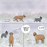 강아지가 환생하는 만화.manhwa > 만화방 | 뀨잉넷 - 온세상 모든 웹코믹이 모이는 곳 강아지가-환생하는-만화manhwa