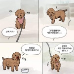 하늘나라에서 주인을 기다리는 강아지 > 만화방 | 뀨잉넷 - 온세상 모든 웹코믹이 모이는 곳 하늘나라에서-주인을-기다리는-강아지