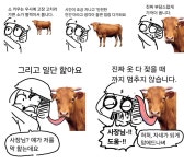 소키우는 집에 가면 생기는 일.manwha > 만화방 | 뀨잉넷 - 온세상 모든 웹코믹이 모이는 곳 소키우는-집에-가면-생기는-일manwha