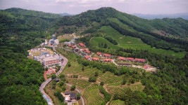 Nokcha Resort, Boseong, South Korea - Booking.com Nokcha Resort, Boseong, South Korea