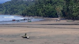 Campground Punta Huina, Bahía Solano, Colombia - Booking.com Punta Huina, Bahía Solano, Colombia