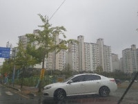 부산시 강서구 명지동 명지롯데캐슬의 경매정보, 시세, 권리분석, 상세정보