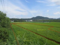 경매마당 공매정보 1999-220119-001의 시세, 권리분석, 상세정보