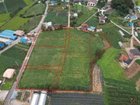 경매마당 공매정보 2014-032771-505의 시세, 권리분석, 상세정보