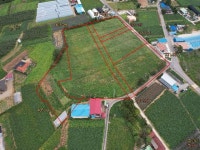 경매마당 공매정보 2014-032771-505의 시세, 권리분석, 상세정보