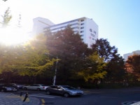 경매마당 공매정보 2022-0300-009577의 시세, 권리분석, 상세정보