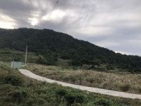 경매마당 공매정보 2018-14019-013의 시세, 권리분석, 상세정보