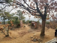 경매마당 공매정보 2021-00372-001의 시세, 권리분석, 상세정보