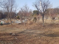 경매마당 공매정보 2021-0100-003602의 시세, 권리분석, 상세정보